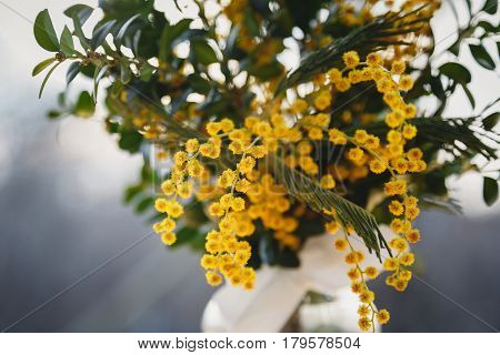 Fresh yellow mimosa flowers bouquet in evening light outdoors. Bunch of flowers