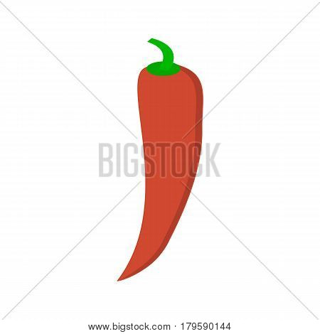 Chilli pepper isolated on white background. Chili chile pepper fruit of plants from the genus Capsicum. Red hot pepper icon realistic illustration in flat style . Kitchen spice condiment