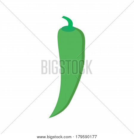 Chilli pepper isolated on white background. Chili chile pepper fruit of plants from the genus Capsicum. Red hot pepper icon realistic illustration in flat style . Kitchen spice condiment