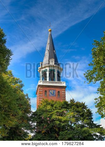 Church Tower In Tree