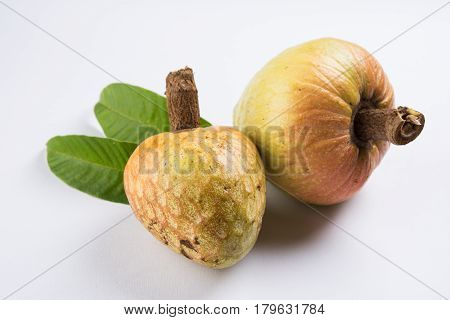 rare fruit from India names upon Lord Rama called Ramphal or Ram Phal or Ramfal or Ram fal also called as Annona reticulate or Soursop in english