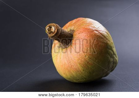 rare fruit from India names upon Lord Rama called Ramphal or Ram Phal or Ramfal or Ram fal also called as Annona reticulate or Soursop in english