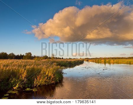 Marsh Country Netherlands