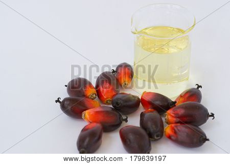 Fesh palm oil seed on white background