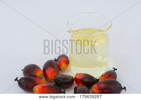 Fesh palm oil seed on white background