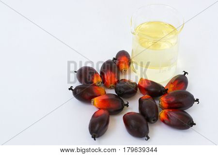 Fesh palm oil seed on white background