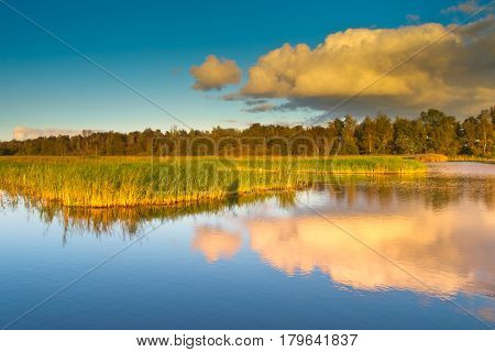 Colorful Marsh Country Netherlands
