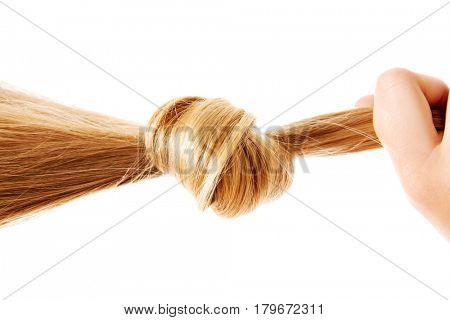 Blonde hair knot isolated on white background.