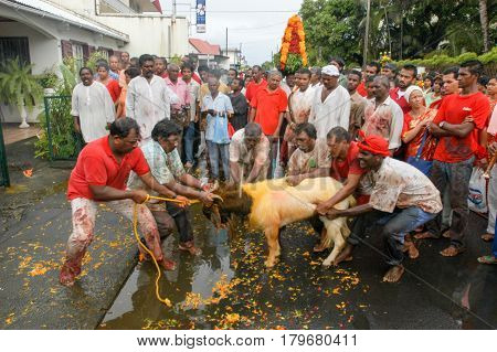 Hindu Celebration Of Pandiale At Saint Andre On La Reunion
