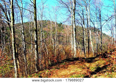 Road to and Landscape in Poiana Brasov. Brasov is a town situated in Transylvania, Romania, in the center of the country. 300.000 inhabitants. Poiana Brasov 12 km near Brasov is a touristic and winter station.