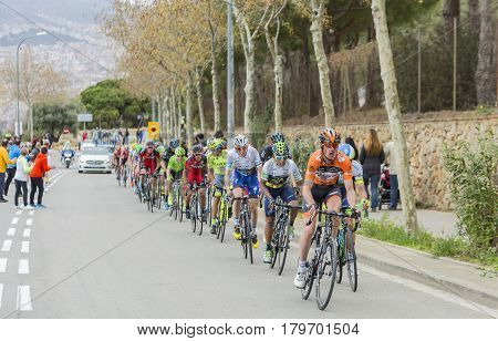 Barcelona Spain - March27 2016: The peloton including the Colombian cyclist Nairo Quintana of Movistar Team riding in the peloton on the road to the top of Montjuic in Bracelona Spain during Volta Ciclista a Catalunya on March 27 2016.