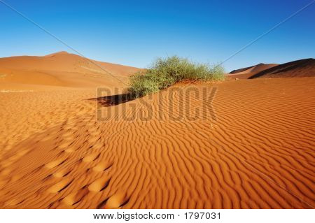 Deserto del Namib