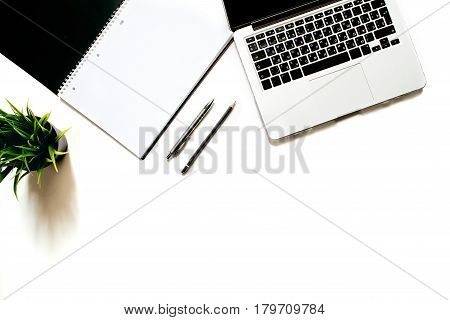 Modern minimalistic work place. White office desk table with laptop keyboard, pen, office plant. Top view with copy space, flat lay