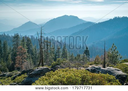 Landscape of Sequoia National park in spring with mountain peaks in haze