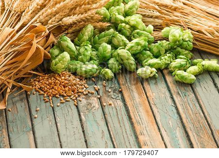 Green hops malt ears of barley and wheat grain ingredients to make beer and bread agricultural background
