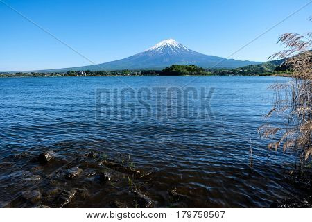 Fuji mountain and Kawaguchiko lake with blue sky Japan