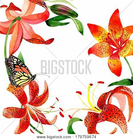 Wildflower leopard lily flower frame in a watercolor style isolated.  Aquarelle wild flower for background, texture, wrapper pattern, frame or border.