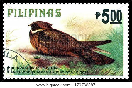 STAVROPOL RUSSIA - March 17 2017: A stamp printed by Philippines shows bird Great eared Nightjar Philippine animals circa 1979.