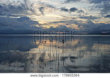 Pamilacan is a small island near Bohol in the Philippines