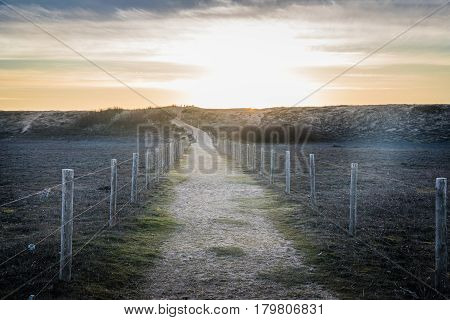 Sandy path in the dunes of la Gachere (Bretignolles-sur-mer, France)