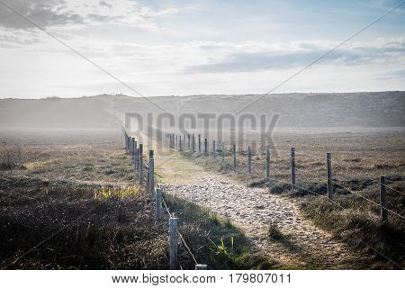 Lightly foggy path in the dunes of la Gachere (Bretignolles-sur-mer, France)