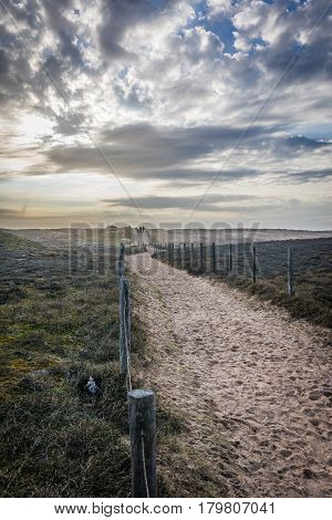 Sandy path in the dunes of la Gachere (Bretignolles-sur-mer, France)