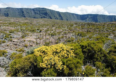 Piton De La Fournaise Volcano On La Reunion Island