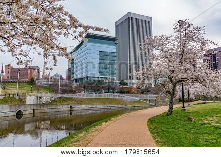 RichmondVirginia morning city skyline along the James River near Brown's Island and Tredegar St during cherry blossoms.