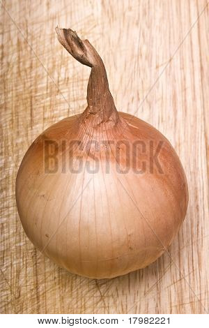 Cebolla