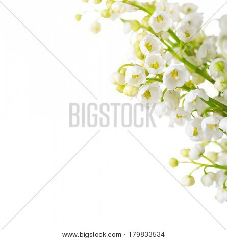 Lilies of the Valley  isolated on a white background. Selective focus
