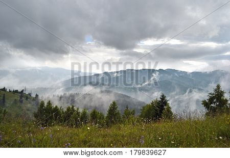 Fog after the rain in the mountains