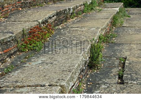 Old stone steps with clay tiles set into the risers. With cracks. Lichens and plants growing on them.