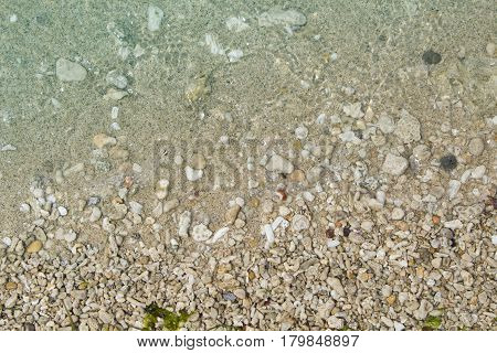Seaside beach with yellow sand and white corals and shells. White sand beach with blue sea water. Summer travel banner template. Seashore corals and shells toned photo. Tropical beach under sunlight