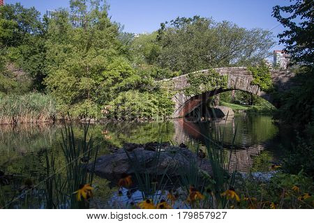 Gapstow bridge and ducks on stone in summertime at Central Park