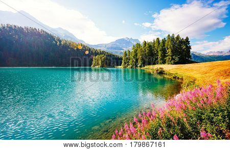 Azure pond Champfer is a unique place on earth. Picturesque day and gorgeous scene. Location Silvaplana village, Swiss alps, Maloja, Europe. Wonderful image of wallpaper. Explore the world's beauty.