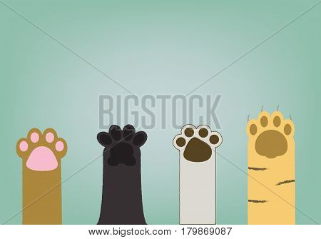 abstract 4 type of cat paws on light blue vintage background