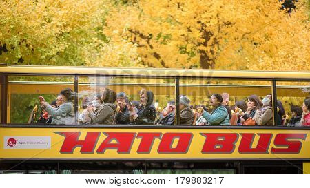 TOKYOJAPAN- NOV 22 :Tourists at Meiji Jingu Gaien in Tokyo Japan on November 22 2016.Meiji Jingu Gaien that has beautiful Ginkgo along the lenght of the street famous for autumn spot in TokyoJapan