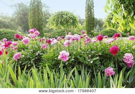 Paesaggio primaverile