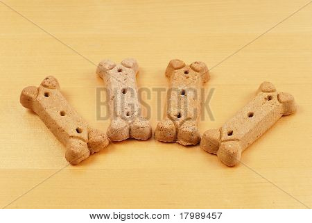 Dare un cane un osso