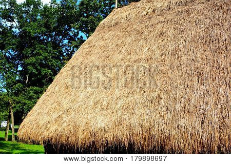 Typical Rural House. Peasant Museum In Dumbrava Sibiului, Transylvania