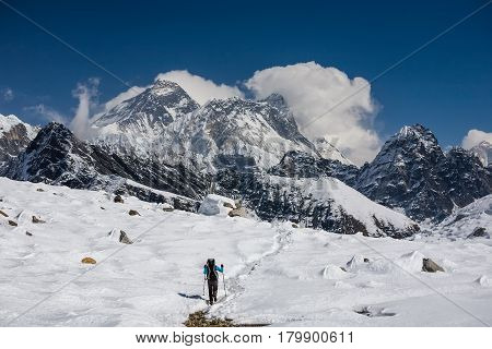 Trekker Is Walking By Renjo La Pass In Everest Region