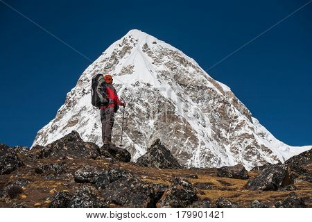 Trekker Approaching Pumori Mountain In Khumbu Valley On A Way To Everest Base Camp