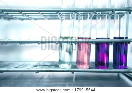 pink and purple test tube in metal steel rack on science laboratory background