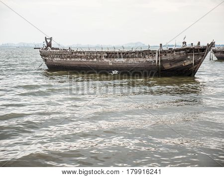 Egret on old fishing boat in the sea