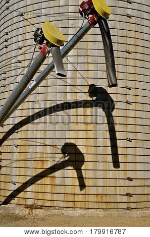 Shadows of feed augers and the spouts reflect against a stave concrete silo.