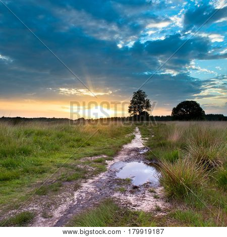 Heathland Trail Sunset