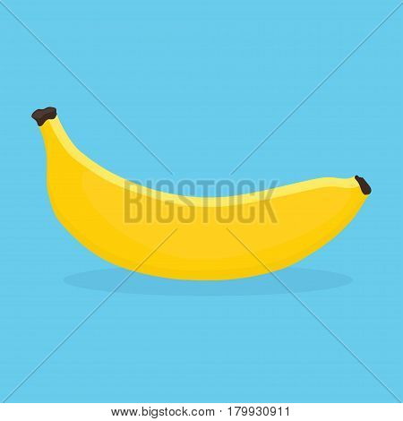 vector image of a banana fresh banana on blue background Banana fruit icon