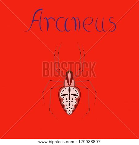 flat illustration on stylish background spider Araneus