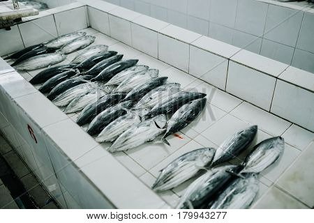 Fish For Sale At The Fish Market