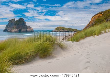 Dune Vegetation At Famous Wharariki Beach, South Island, New Zealand